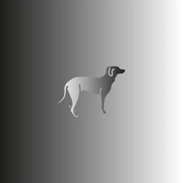 Hund Web Symbol Vektor Illustration — Stockvektor