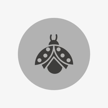 uğur böceği düz simgesi, vektör, illüstrasyon 