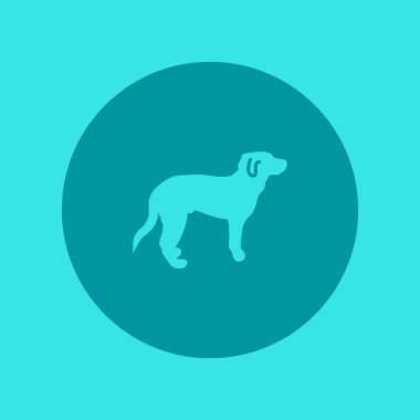 köpek ağı simgesi, vektör illüstrasyonu 