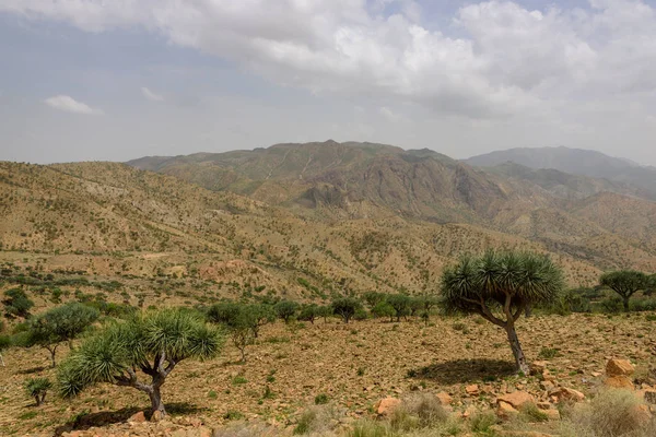 Desert lanscape in the Tigray region of Ethiopia, near to Makalle