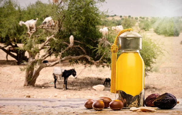 Botella Aceite Argán Frutas Para Cuidado Piel Árbol Argán Backgruond — Foto de Stock