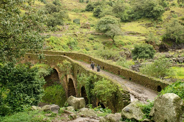 Shepherd na starożytnym portugalskim moście, Etiopia — Zdjęcie stockowe