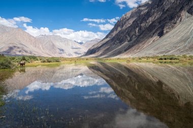 Nubra Vadisi'ndeki Doğal Havuz, Hindistan
