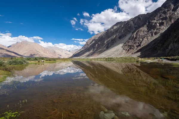 Natürlicher pool im nubra tal, indien — Stockfoto