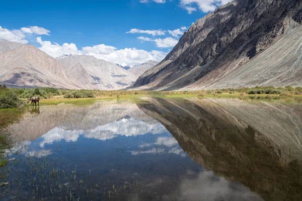 Natuurlijk zwembad in Nubra Valley, India — Stockfoto