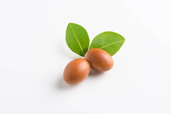 Argan nuts with fresh leave — Stock Photo, Image