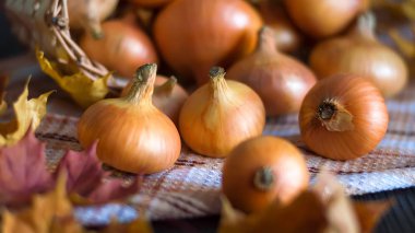 Vintage soğan ampul tablosunda bir sepet.