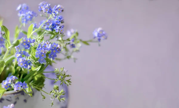 Unut beni mavi çiçekler değil. Kopya alanı. Seçici odaklama.
