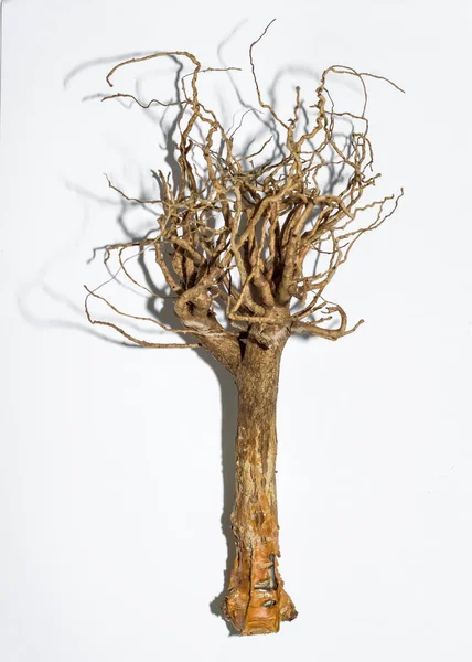 beyaz arka plan üzerinde bitki kökü