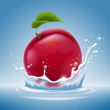 Olgun taze erik meyve su sıçraması ile mavi bir arka plan üzerine düşüyor. Vektör çizim.