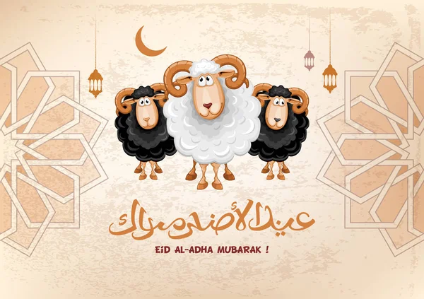 회교도 축제의 Eid Adha 무바라크의 아랍어 텍스트입니다 인사말 카드와 양입니다 — 스톡 벡터