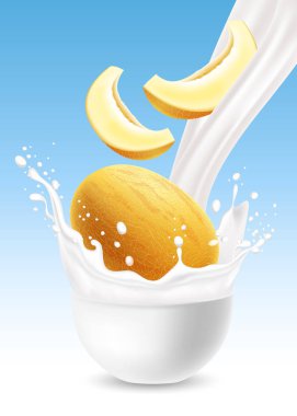 Mavi arka plan beyaz seramik kase taç ve kavun meyve bütün ve lobules düşmek gibi sıçrama ile dökülen süt. Vektör gerçekçi çizim.