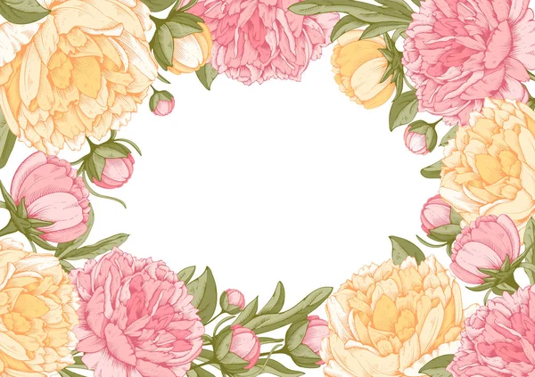Floral πλαίσιο με peony λουλούδια — Διανυσματικό Αρχείο