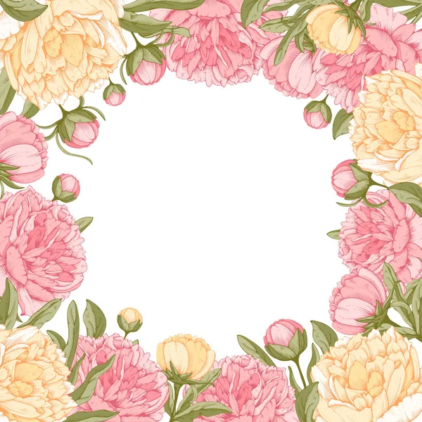 Floral frame met peony bloemen — Stockvector