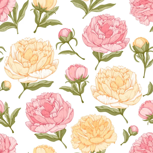 Naadloze achtergrond met peony bloemen — Stockvector