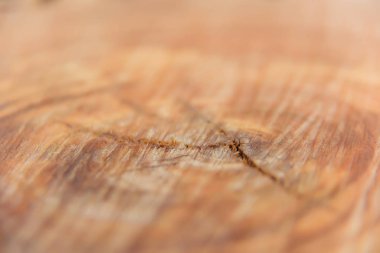 Ağaç yağmur sonra kesilmiş. Yıl halkaları. Ahşap bir yüzük gördüm. Islak ahşap doku