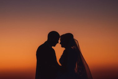Gün batımı birkaç fon karşı. Düğün çifti. Gelin ve damat batımında silüeti. Günbatımında aşıkların siluet. Siluet yeni evli.