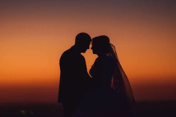 Casal Contra Pano Fundo Pôr Sol Casamento Silhueta Noiva Noivo — Fotografia de Stock