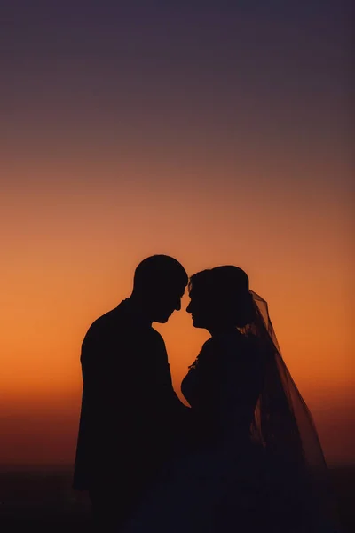 Ζευγάρι Φόντο Ηλιοβασίλεμα Ζευγάρι Γάμο Σιλουέτα Της Νύφης Και Του — Φωτογραφία Αρχείου