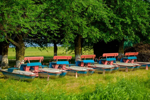 水輸送のカタマランの駐車場 ボートは 土地に係留された青赤カタマランです 緑の木々 やカタマランの夏風景 — ストック写真
