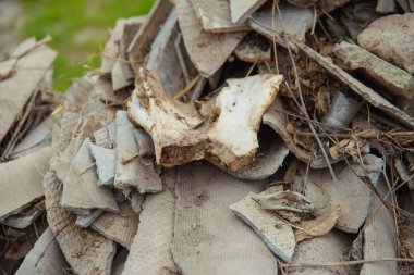 Kayrak eski kırık. İnşaat malzemeleri gelen enkaz yığını. İnşaat atık arduvaz kaplamak. Harap çatı kaplama. Yapı malzemesi kayrak yapıdır.