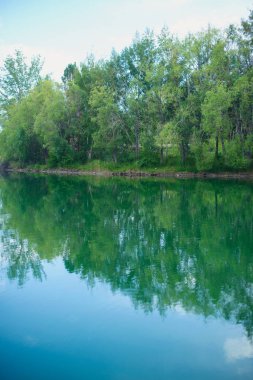 Yeşil mavi gökyüzü ve su birikintisi ağaçları. Motorlu tekne rıhtımda duruyor. Mavi bulutlar suya yansıyan. Yemyeşil yeşil ağaçlar ve sıcak yaz. Willows suya yakın. Sıcak güneşli bir gün bankada Nehri.