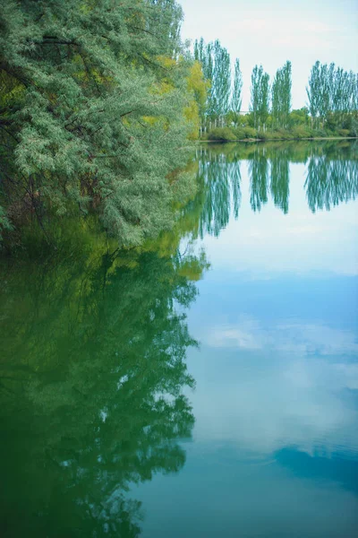 Green Trees Blue Sky Pond Motor Boat Stands Pier Blue — Stock Photo, Image