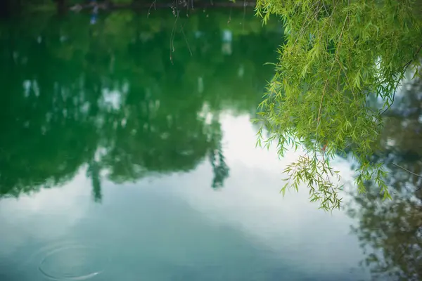 Зеленые Деревья Голубое Небо Пруд Яхта Стоит Пирсе Голубые Облака — стоковое фото