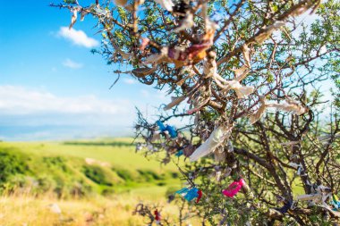 Ağaç arzuların şeritler. Güzel manzara. Yaz gökyüzü alan ve ağaç arka plan. Renkli letna ağaca düğümlü. Çalı çırpı ve dizeleri. Mavi gökyüzü ve yeşil bush.