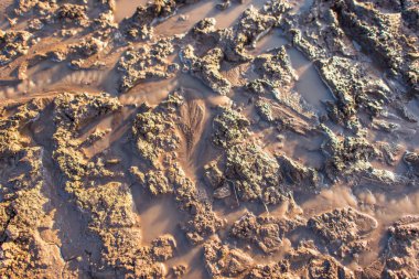 Sırt--dan yere izlemek. Lastikler ıslak kil künye. Kahverengi kir izleri üzerinden araba tekerlekleri olan. Farklı makineler şehrin yapımında da izleri.