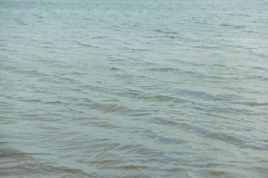 Su pürüzsüz yüzey. Fotoğraf su. Deniz suyu ve sığ dalgalanmalar. Sakin deniz ve küçük dalgalar. Mavi-gri su. kahverengi taş alt su altında. Soğuk deniz dalgaları.