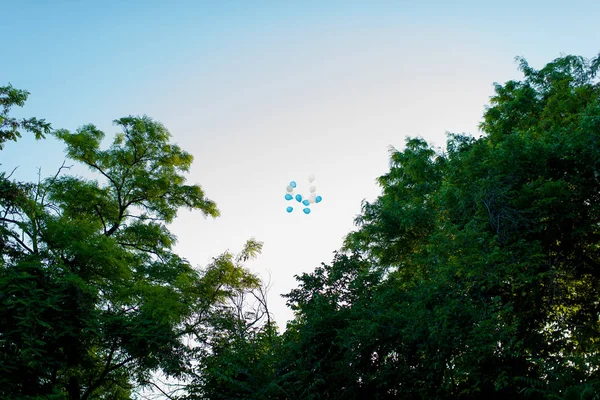 Beyaz Mavi Balon Gökyüzüne Uçar Balon Helyumla Dolu Gökyüzü Yeşil — Stok fotoğraf