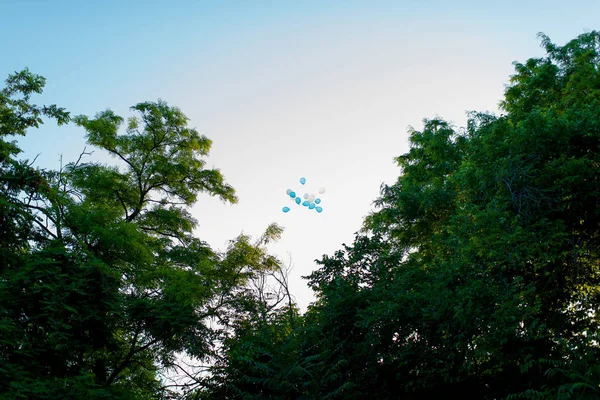 白と青の風船が空に飛ぶ 風船のヘリウムを充填しました 空と緑の木々 とボール 雲を飛んでいる風船の束 明るくジューシーな緑の木々 — ストック写真