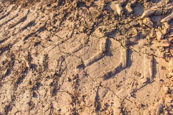 Track Tread Ground Imprint Tires Wet Clay Brown Dirt Traces — Stock Photo, Image