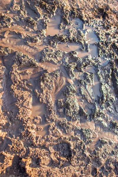 Sırt--dan yere izlemek. Lastikler ıslak kil künye. Kahverengi kir izleri üzerinden araba tekerlekleri olan. Farklı makineler şehrin yapımında da izleri.