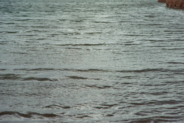 Water smooth surface. Photo water. Sea water and shallow ripples. Calm sea and small waves. Blue-gray water. brown stone bottom under water. Cold sea waves.