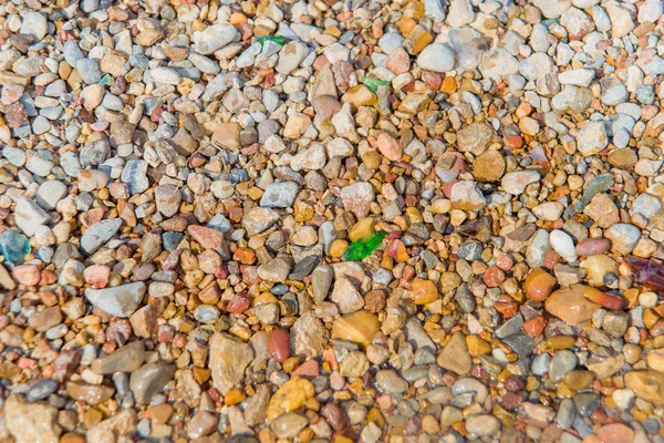 Zee Steentjes Glas Bruin Grijs Zee Stenen Kust Met Natte — Stockfoto