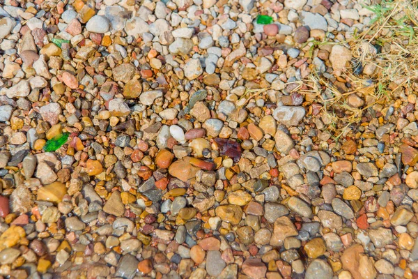 Sea Pebbles Glass Brown Gray Sea Stones Coast Wet Small — Stock Photo, Image