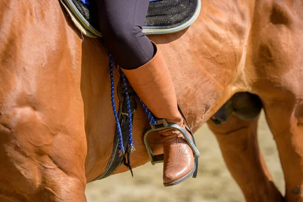 Rider Saddle Horse Attributes Equipments Racing Special Boots Gloves Equestrian — Stock Photo, Image