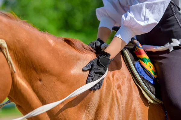Cavaleiro Sela Cavalo Atributos Equipamentos Para Corridas Botas Luvas Especiais — Fotografia de Stock