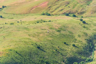 Yüksek dağlar. Engebeli yüzey. Dağ manzarası. Bitki örtüsü dağ yamaçlarında. Kuş bakışı. Engebeli arazi.