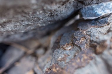Dağ manzarası. Taş dokusu. Engebeli arazi. Renkli taşlar. Taş zarar görmüş. Dağ taş keskin parçalanmak.