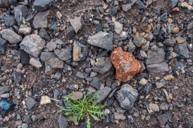 Dağ manzarası. Taş dokusu. Engebeli arazi. Renkli taşlar. Taş zarar görmüş. Dağ taş keskin parçalanmak.