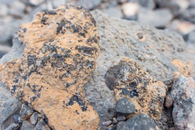 Dağ manzarası. Taş dokusu. Engebeli arazi. Renkli taşlar. Taş zarar görmüş. Dağ taş keskin parçalanmak.