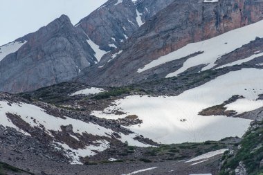 Yüksek dağlar. Bulutlu gökyüzü. Karla kaplı dağ yamaçlarında. Dağ silsilesi. Engebeli arazi. Karlı zirveleri. Dağlarda bitkiler.