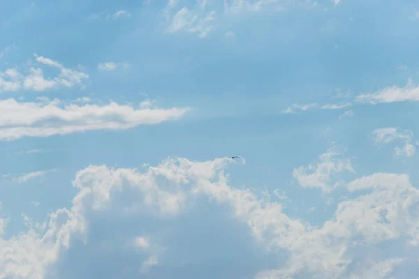 Céu Azul Nuvens Brancas Fofas Pássaro Golden Eagle Voa Pássaro — Fotografia de Stock