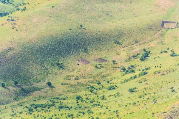 High mountains. Hilly surface. Mountain landscape. Vegetation on the mountain slopes. Bird\'s eye view. Rugged terrain.