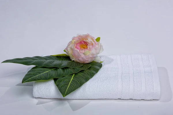 Fleur Sur Une Serviette Blanche Texture Tissu Serviette Blanche Sur — Photo