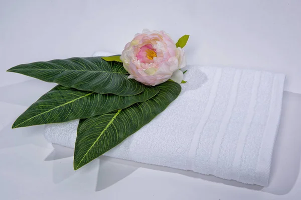 Flower on a white towel. The texture of the fabric. White towel on a white background. Rose bud. Terry towel with a flower on a white background.