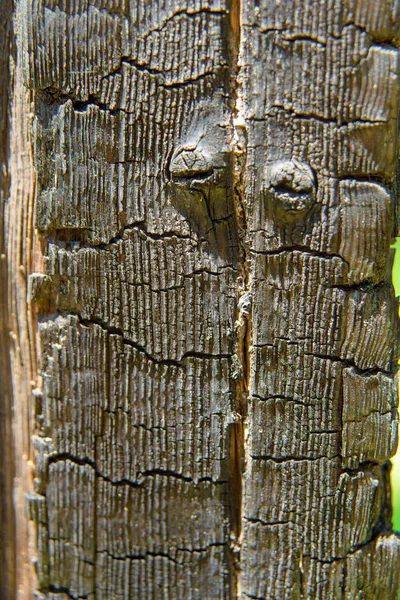 Old wooden fence. Woody structure. A fence made of wood. Cracked dry wood. Burnt wood surface.